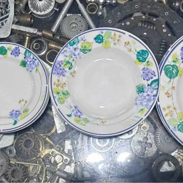 Juego 10 platos porcelana antiguos