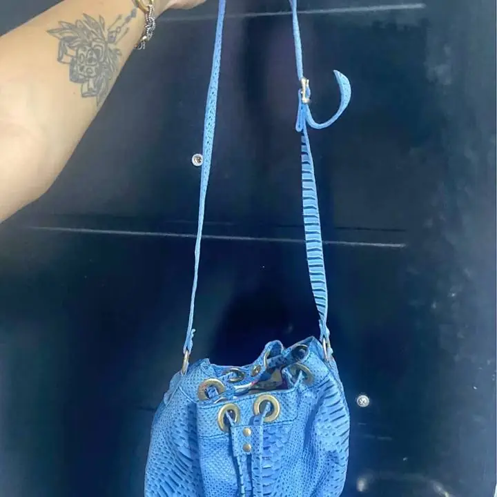 Cartera celeste