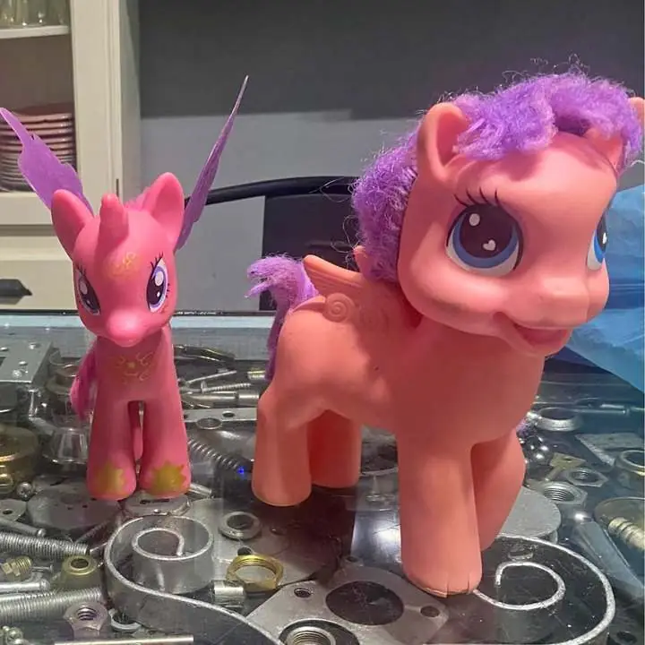 Ponys