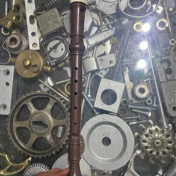 Flauta plastica