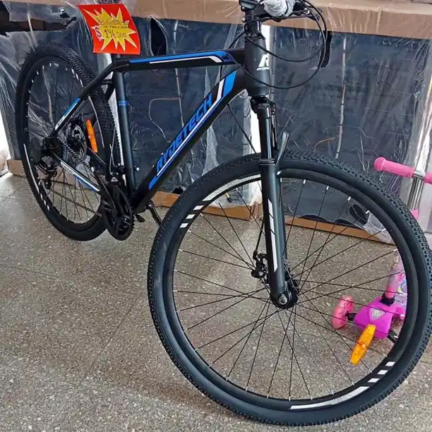 Bicicleta rodado 29