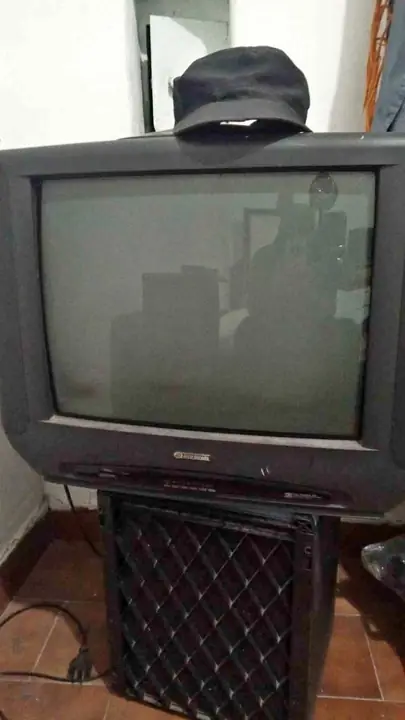 Vendo tv color serie dorada 21 pulgadas