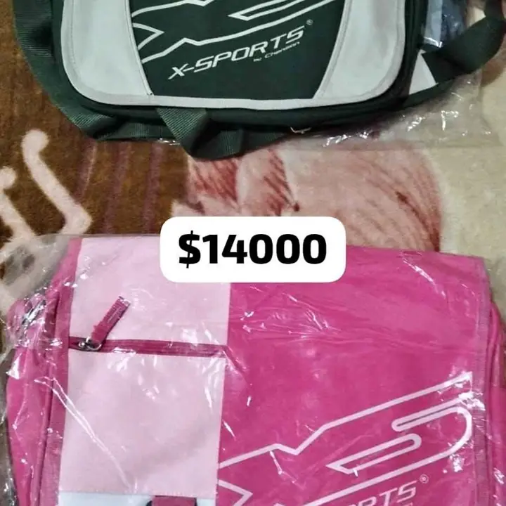 Bolsos y portafolios
