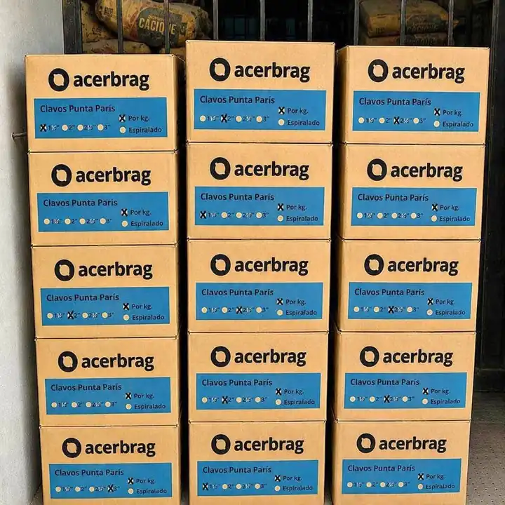 Clavos Punta París Acerbrag por Kg – Venta Mayorista