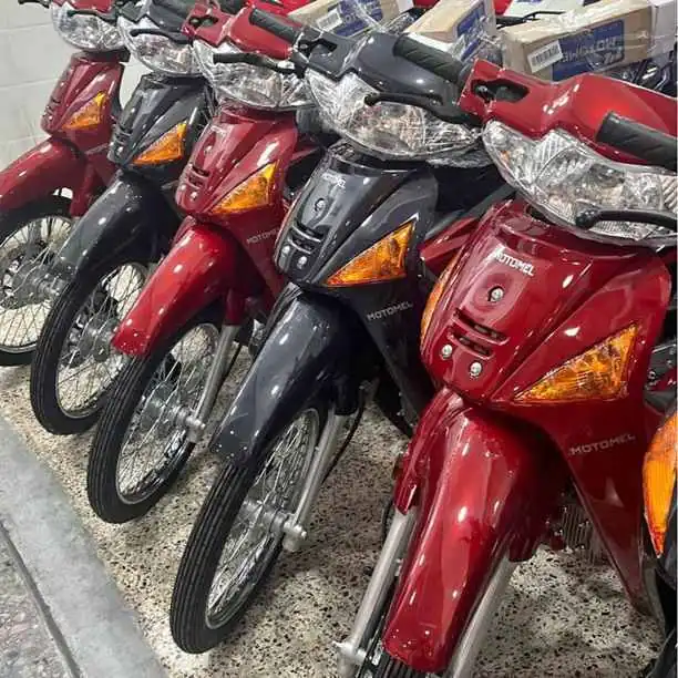 Stock de dlx