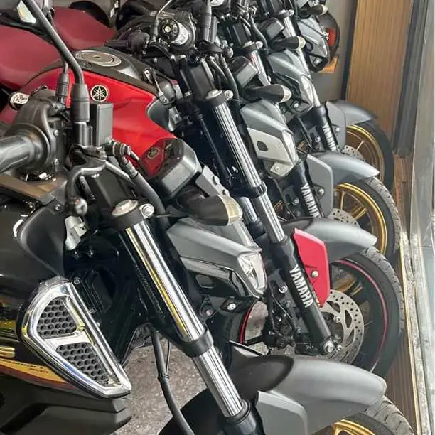 FZ en stock