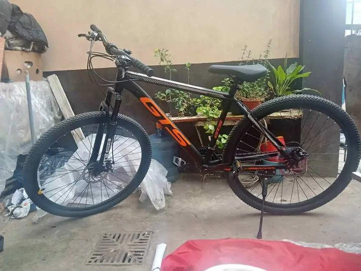 Bicicleta. dorado 29 talla L