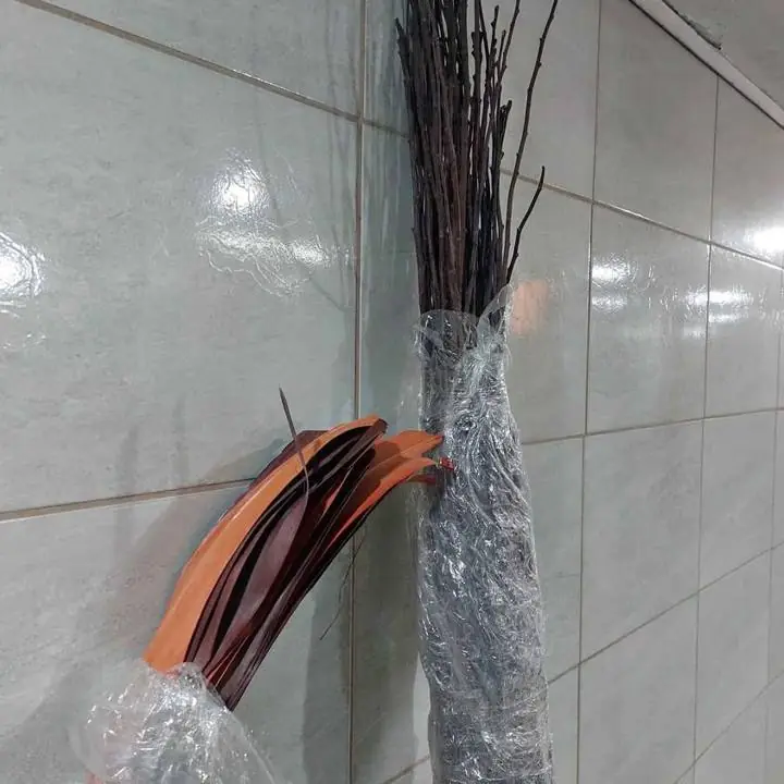 Ramas de Sauce y Lenguetas para decorar ambientes, floreros y paredes