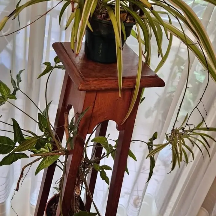 Pedestal de madera