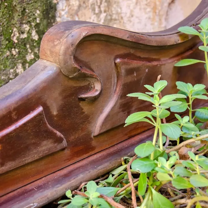 Moldura antigua en madera de guindo