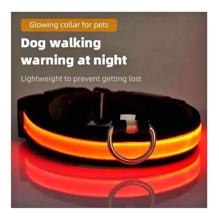 Collar para perros con luz recargable