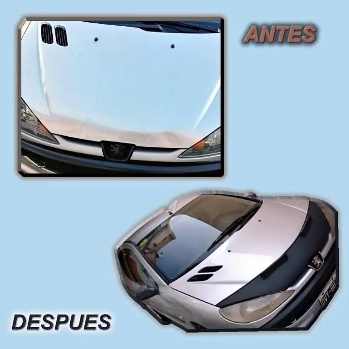 Peugeot 206 Mascara Cubre Capot en Ecocuero