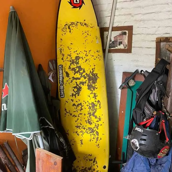 Tabla de surf liquid shereder