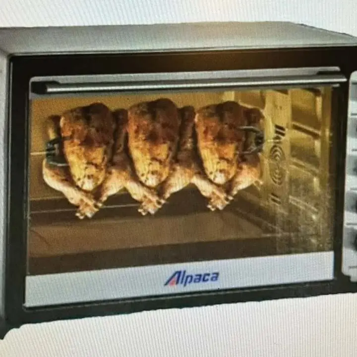 Horno electrico alpaca 100 litros